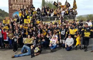 Harold s Black and Gold Zone