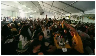 steelers fans at harolds