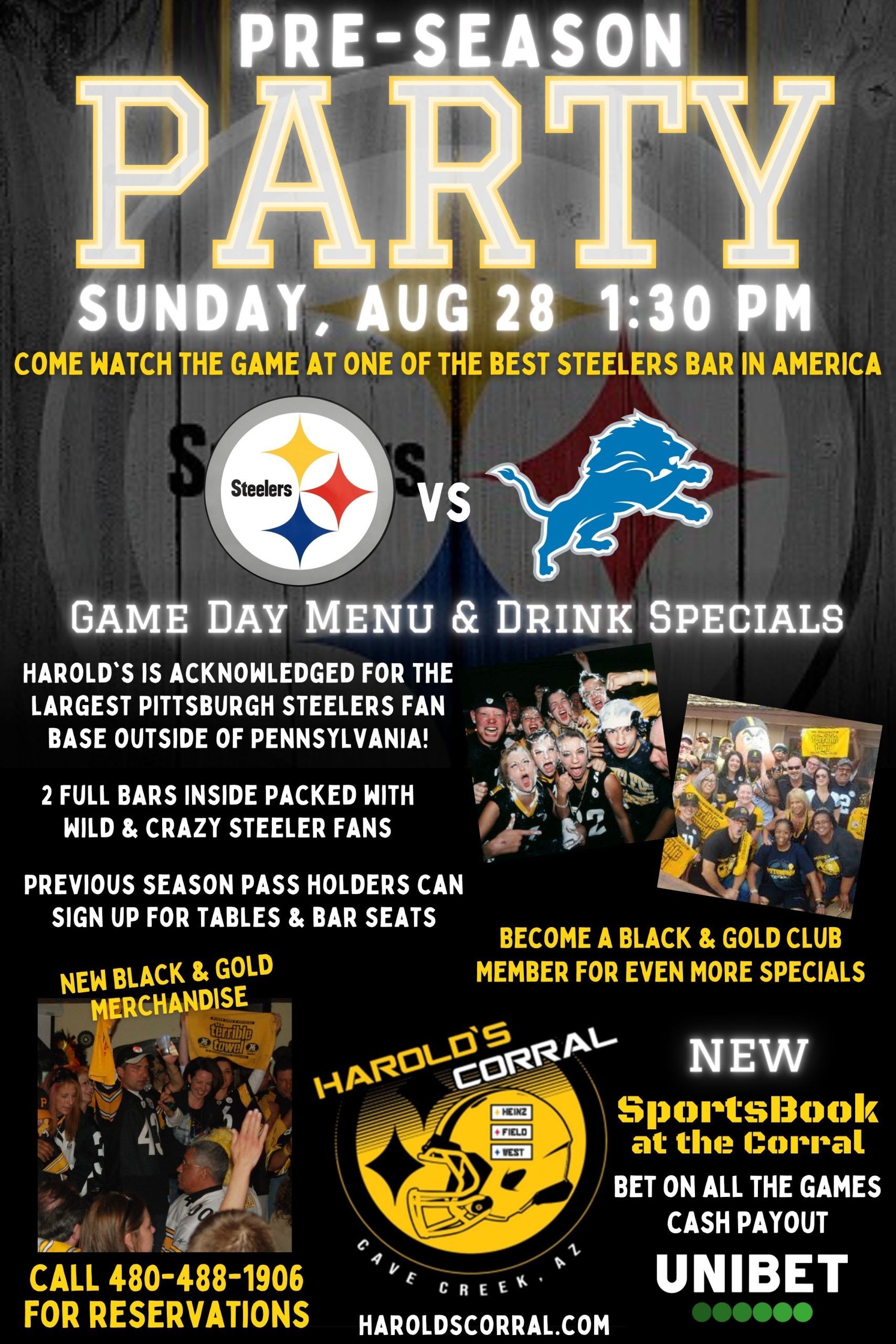 Steelers Pre-Season Game Tickets