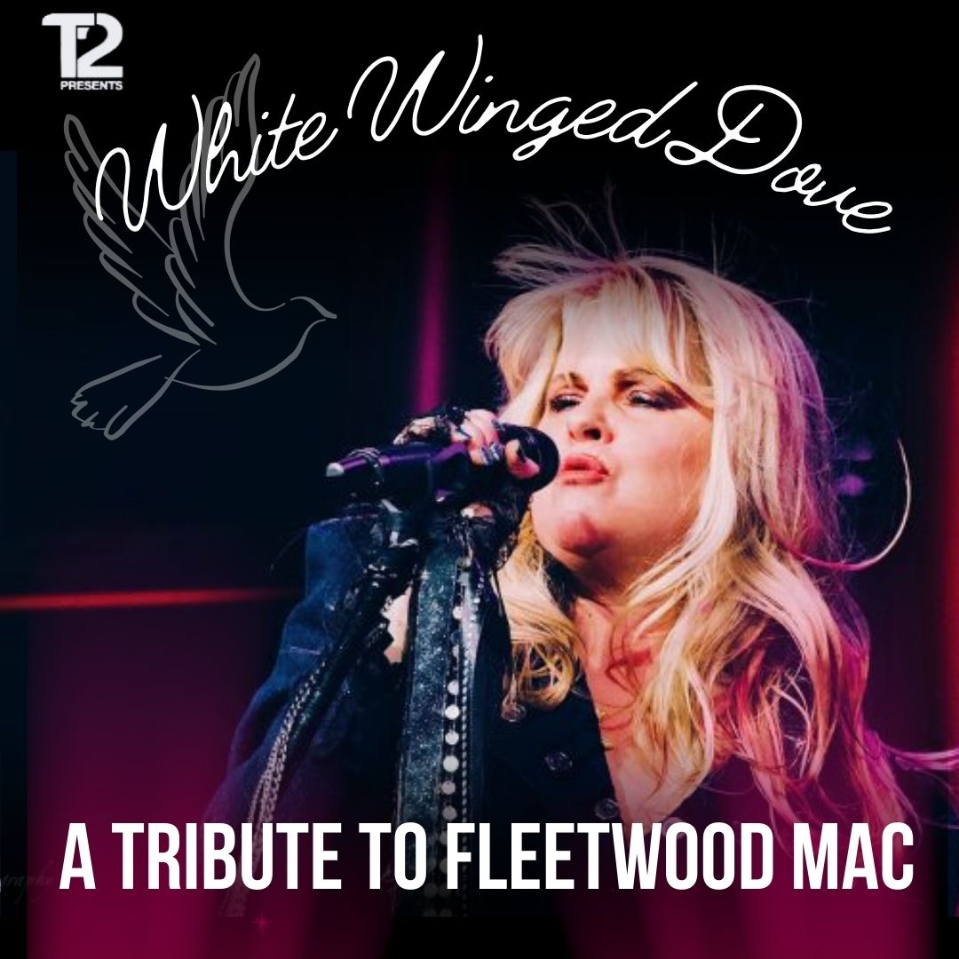 a white winged dove tribute to fleetwood mac at Harold's Corral