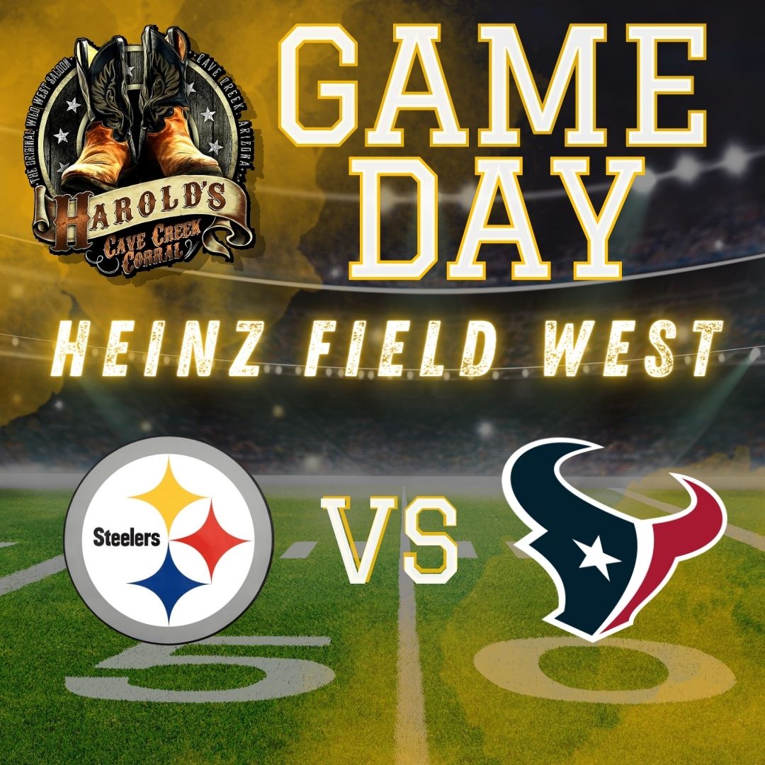 steelers vs texans