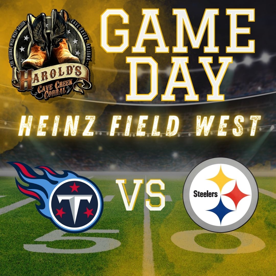 titans at steelers