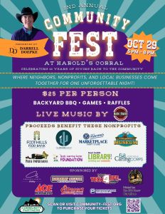 Community Fest Flyer