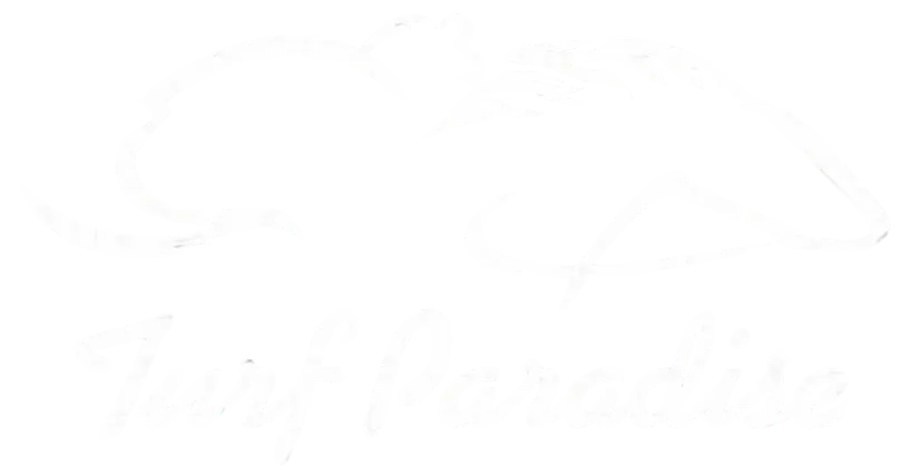 off-track betting at harold's corral turf paradise